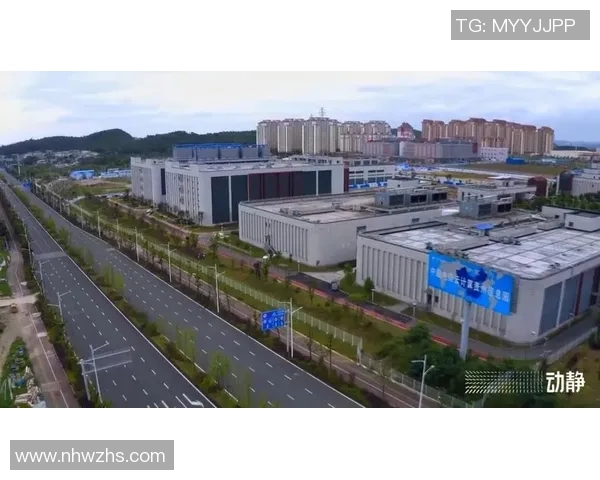 广州排球队中路突破创新之路探索与实践分析 广州排球队中路突破创新之路探索与实践分析